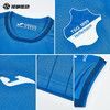 SFS 荷马Joma 24/25霍芬海姆主场球员版足球服  5145FPB558 商品缩略图2