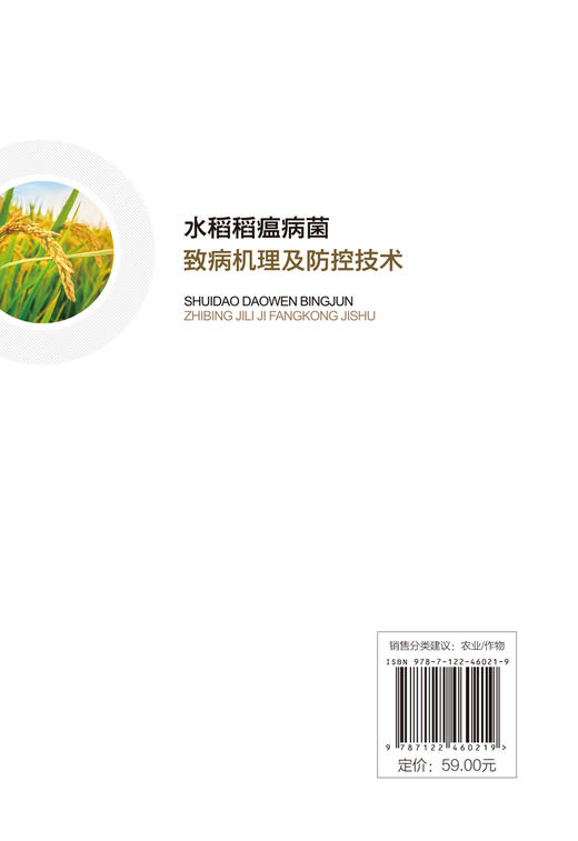 水稻稻瘟病菌致病机理及防控技术 商品图1