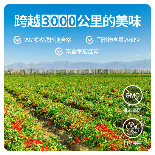 【新疆大番茄 自然完熟】番时番新疆切块番茄400g*5罐 商品图4