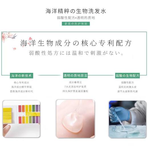 蜜梨麒麟藻清爽洗发水(油性) 商品图3