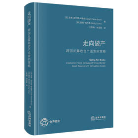 走向破产：跨国反腐败资产追查的策略 王秀梅 林洁莹译 法律出版社