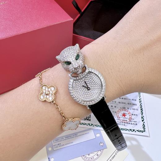 猎豹卡地亚满天星 商品图5