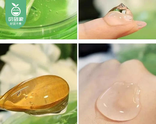 韩国AGACHY安格琪玻尿酸芦荟补水凝胶/1罐（300g）限用日期：27年5月 商品图4