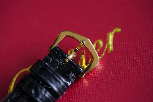 Tank真金鳄鱼皮 商品图8