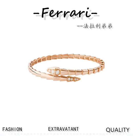 B家 头尾镶钻款蛇形手镯 商品图0