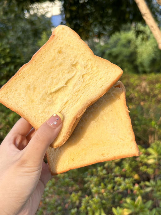 【品牌直发】新品秒杀🔥39.9到手四箱小叉叉高钙黄油吐司🍞 饱腹又美味，松软不甜腻，全家都爱吃~💥闭眼入~ 商品图1