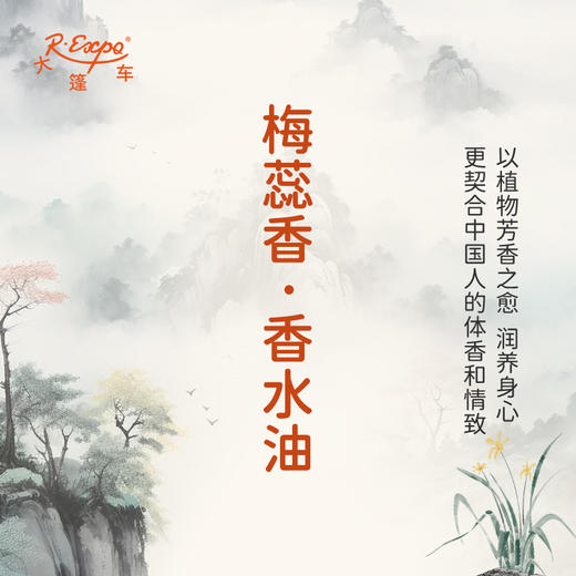 梅蕊香香水油  古风香调 植物精油香氛 适用护体香 护手油 润发丝 大篷车精油 商品图3