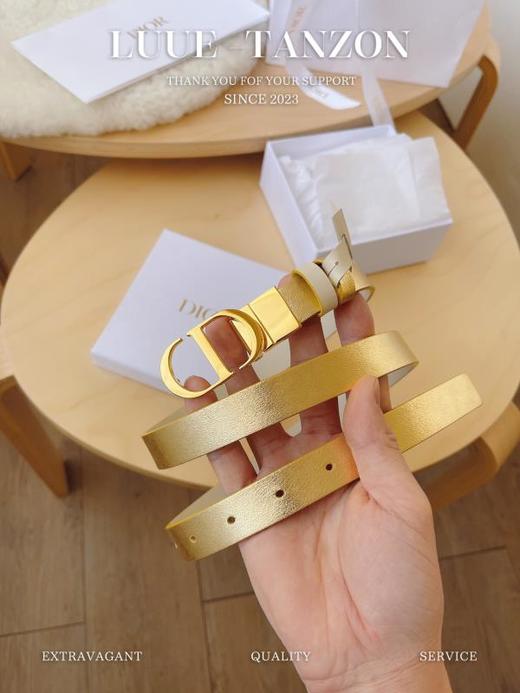 迪家 新款 2.0Montaigne 腰带 商品图0