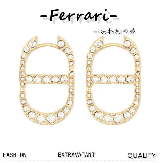 D家  新款 耳钉耳环 商品图0