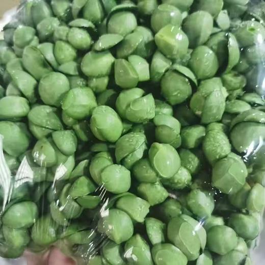 绿色有机 黄豆苗  500g 商品图1