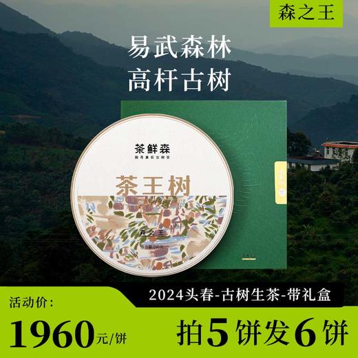 2024茶王树 森之王 春茶7折现货 送品鉴装礼盒 普洱茶 生茶 200g/饼 商品图0