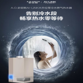 史密斯（12662）Ai-link 大升位零冷水燃气热水器JSQ48-MJSWi 燃气机