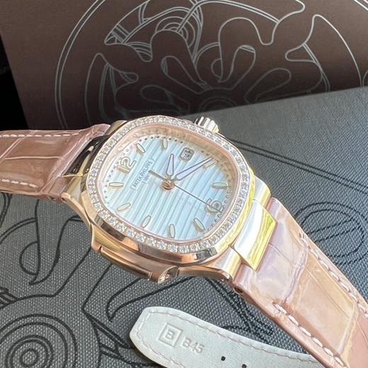 7010R鹦鹉螺 商品图4