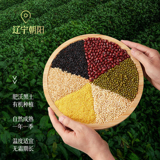 燕之坊臻品有机杂粮礼盒3kg 商品图1
