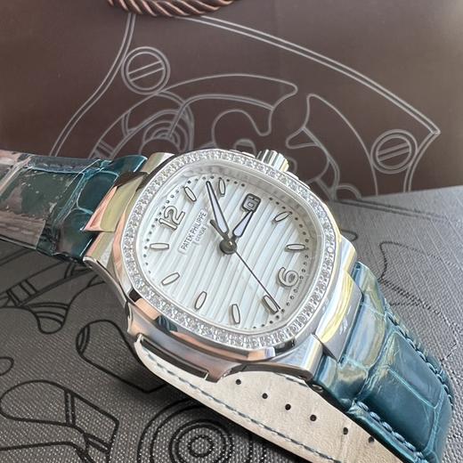 6010R鹦鹉螺 商品图4