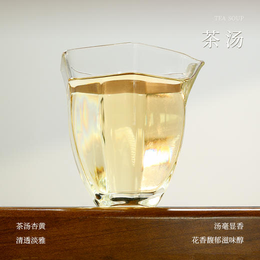 懂茶帝福鼎白茶吴洋山2023年碳焙白牡丹(50g) 商品图2