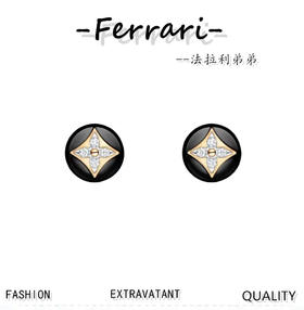 驴家  耳钉高端 定制原版 雅知性 大气上档次 百搭款式 !