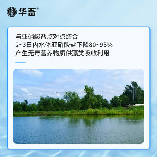 华畜亚硝克500g 降解亚硝酸盐 商品图2