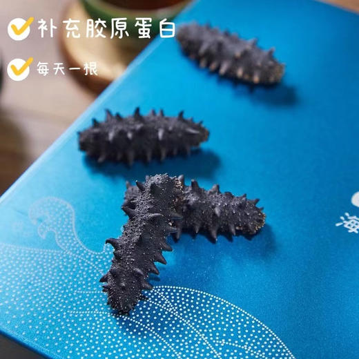 海朴臻鸾干海参50g/盒 10支礼盒装+送礼袋 来自北纬39°辽刺参 节日送礼 商品图3