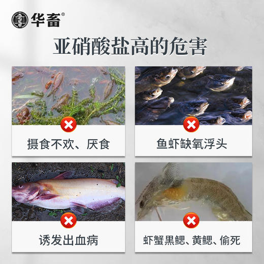 华畜亚硝克500g 降解亚硝酸盐 商品图1