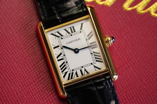 Tank真金鳄鱼皮 商品图4