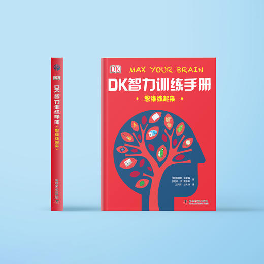 《DK智力训练手册》（全2册） 商品图3