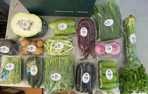 鸿翠园 有机蔬菜礼盒 商品图2