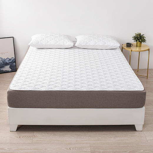 雅芳婷床垫保护垫家用卧室夏季床护垫枕套抑菌可机洗水洗 商品图5