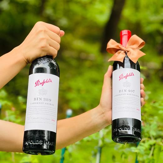 奔富BIN389、BIN407红酒|葡萄酒澳洲进口，商务宴请，送礼的硬通货~正品行货一体标！！！ 商品图1