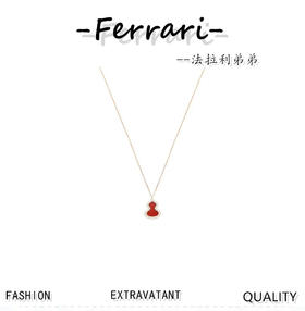 麒* WULU 葫芦项链！耳钉