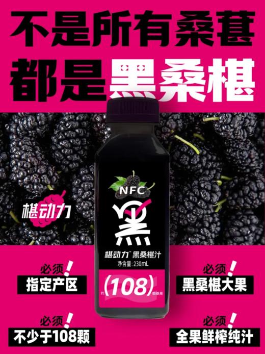 【每瓶约108颗桑葚榨取】椹动力·小黑瓶NFC纯桑葚汁小黑瓶230ml/瓶  鲜榨新鲜原浆营养果汁 商品图2