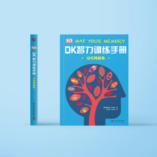 《DK智力训练手册》（全2册） 商品图4