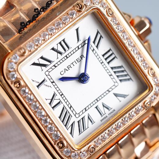 猎豹中号 商品图6