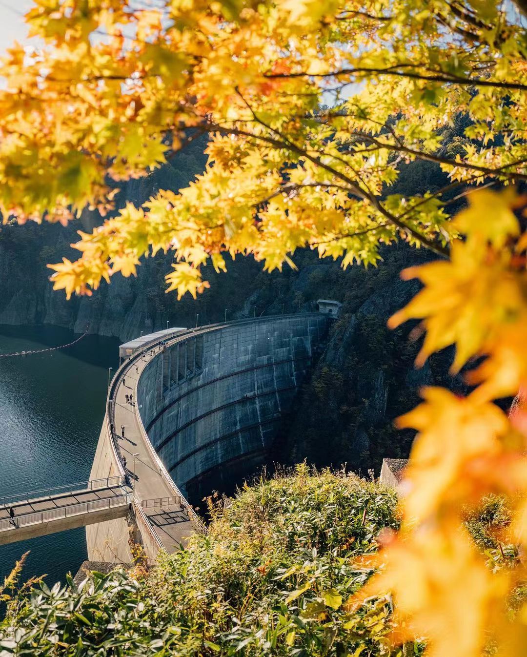 【境外】【北国金秋】北海道札幌+洞爷湖+小樽+丰平峡5天4晚