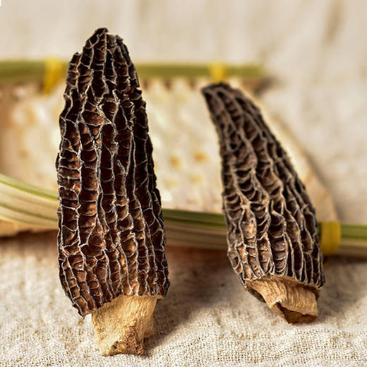 羊肚菌 25g 商品图3