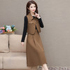 QYM 19C2489-L通勤连衣裙POLO领洋气短款马甲两件套裙 商品缩略图2