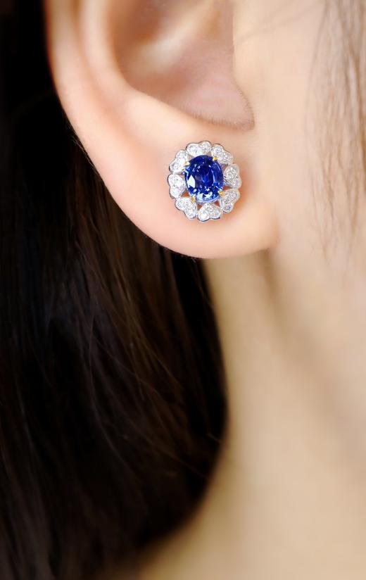 1.7ct 蓝宝石耳钉 商品图4
