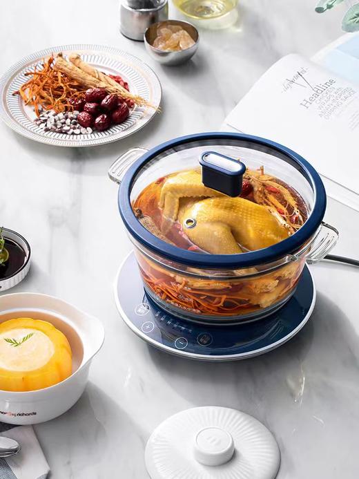 摩飞多功能养生锅3.5L 商品图0