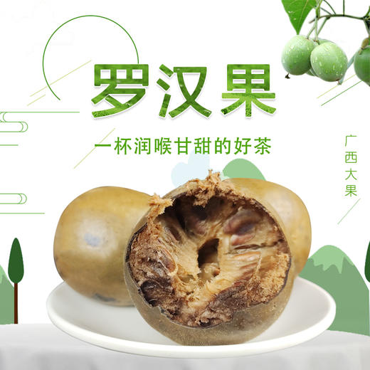罗汉果 90g*2 商品图1