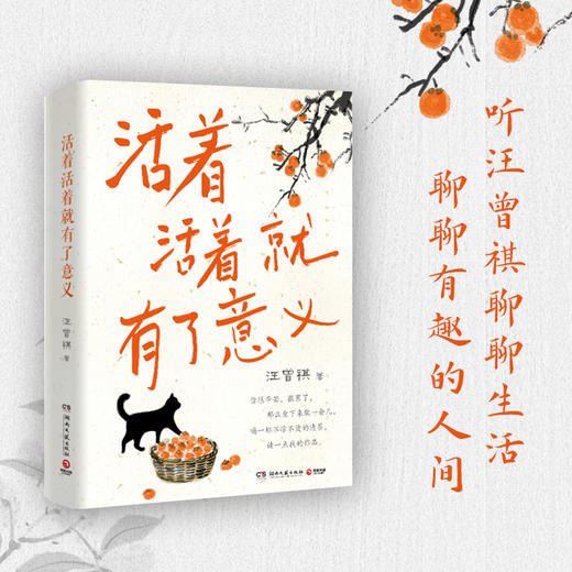 活着活着就有了意义 商品图0