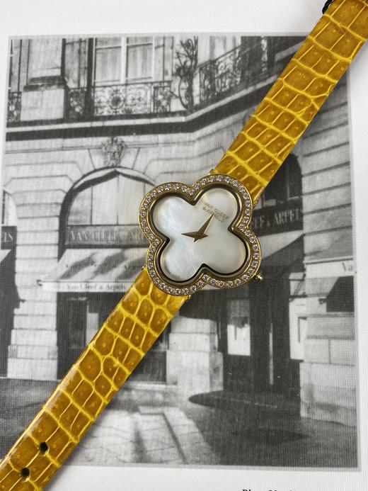 VCA鳄鱼皮 商品图7