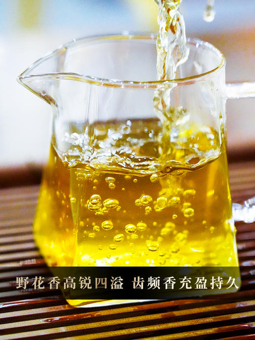 9月27日早9点【破损清仓】2024年【班章石斛】古寨春自主研发产品云南普洱茶云南铁皮石斛的邂逅 357g/饼 拍5发6拍20发25 商品图3