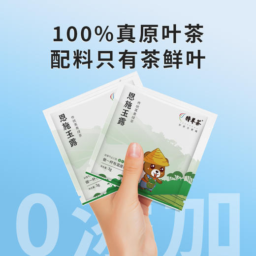 恩施玉露独立小泡2026新茶绿茶口粮茶3g*12袋 湖北茗茶 商品图2