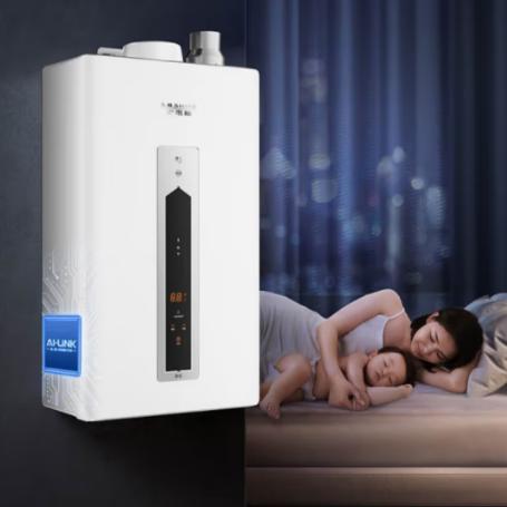 史密斯燃气热水器（12660）JSQ31-CSCWi 商品图0