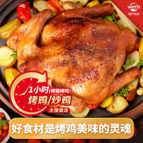 温氏跑步小土鸡1.3斤 110天童子鸡土鸡 冷冻走地鸡火锅食材 生鲜鸡肉