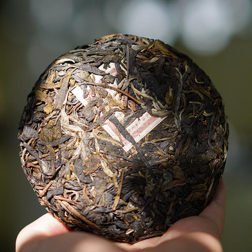 【聂老师的茶】2024年老班章一类茶王树100克生饼 商品图2