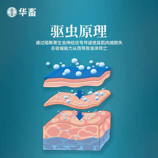 【积分兑换】阿苯达唑伊维菌素片 0.36g*100/瓶 抗寄生虫 商品图3