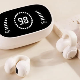 耳机界的劳斯莱斯，千元级音质、久戴不痛，几十块卖疯了！ 