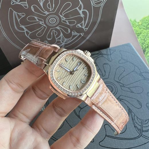 7010R鹦鹉螺 商品图1