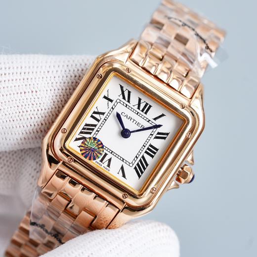 猎豹中号 商品图4